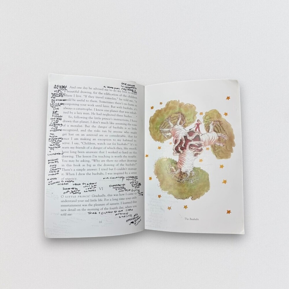 The Little Prince Paperback Classic Illustrated Book - Picture 2 of 3